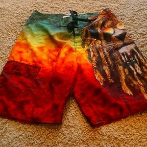 "The Mountain" Lion Rasta Board Shorts Sz 32